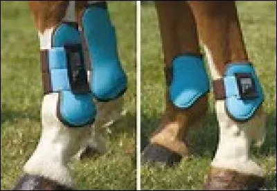 Comment se nomme cette protection ?