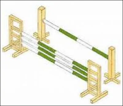 Quel est le nom de cet obstacle ?
