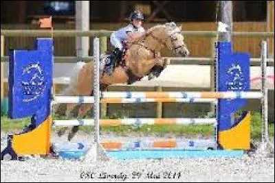 Combien de Welsh y a-t-il à la ferme des Minimes ?