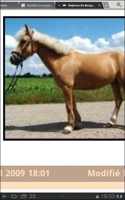 Kephren fait-il du CSO ?