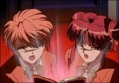 D'où vint Tamahome ?