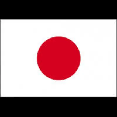 Quel pays a été sélectionné pour les prochains jeux d'été ?