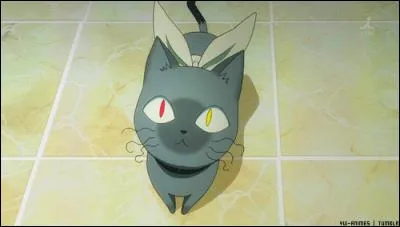 De quel manga vient-il ?