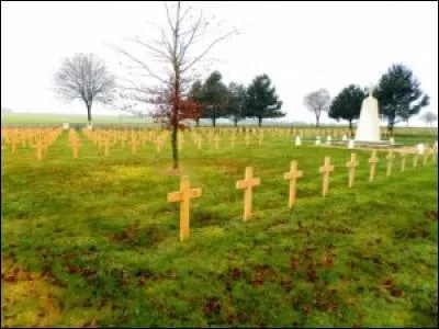 Où se regroupèrent les troupes françaises pour donner un coup d'arrêt à l'avance allemande ?