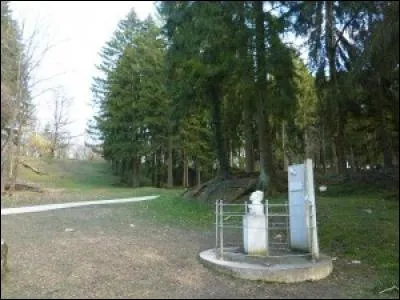 Quelles furent les pertes totales (tués) de la bataille de Verdun ?