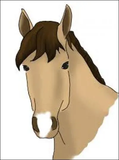 Quel est le nom de la tache de tête de ce cheval ?