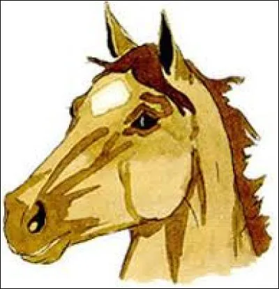 Quel est le nom de la tache de tête de ce cheval ?