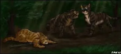 Qui tue Plume de Faucon ?