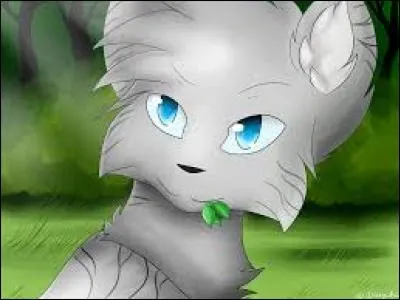 Qui est l'actuel guérrisseur du clan du tonnerre ?