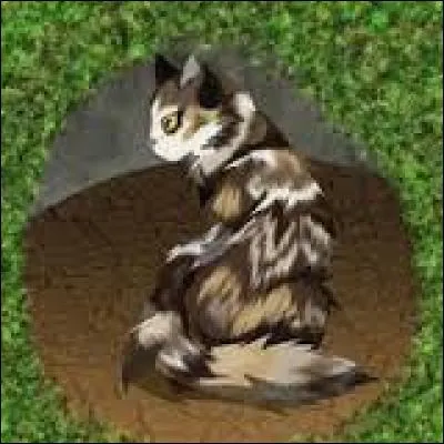 La 1ère guerrisseuse avant Nuage de Feu est :