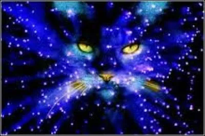 Qui sont les 2 filles d'étoile de Feu et Tempête de Sable ?