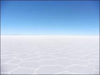 Les déserts de sel sont en fait des déserts de roches blanches.