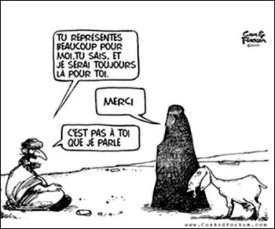 De combien de sourates est composé le Coran ?