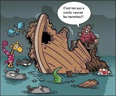 Qui tient le rôle de Noé dans le film du même nom ?