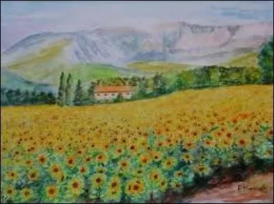 Avertissement sonore bref :