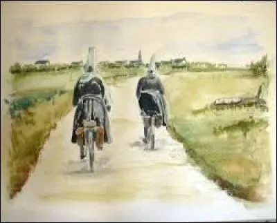 Poil des paupières :