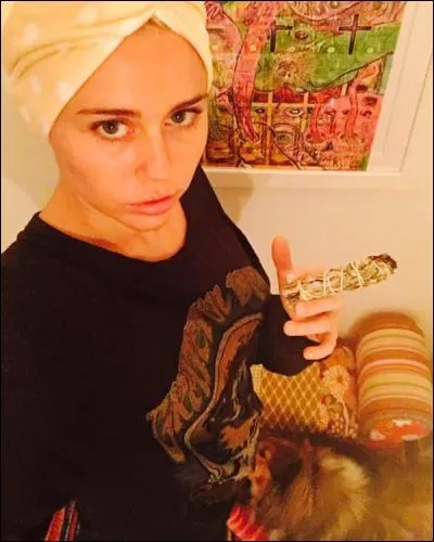 Quelle cérémonie Miley a-t-elle présentée en 2015?