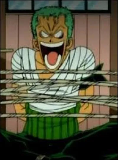 Pourquoi Usopp et Johnny ont-ils attaché Zoro puis se sont enfuis peu de temps après ?