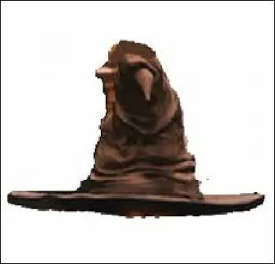 Qui est choisi en premier par le choixpeau ?