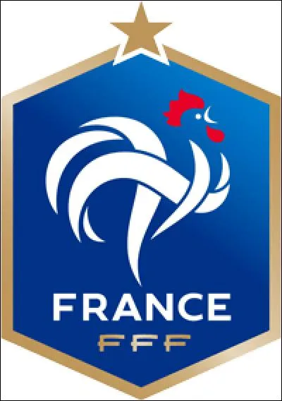 Qui est le meilleur buteur français depuis toujours ?