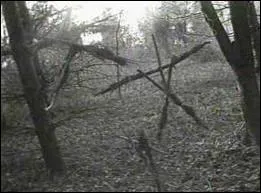 Film fait avec trois bouts de ficelle qui a eu un immense succs, sur trois jeunes s'aventurant en fort, pour savoir si l'histoire de la sorcire qui y vivait est vraie...