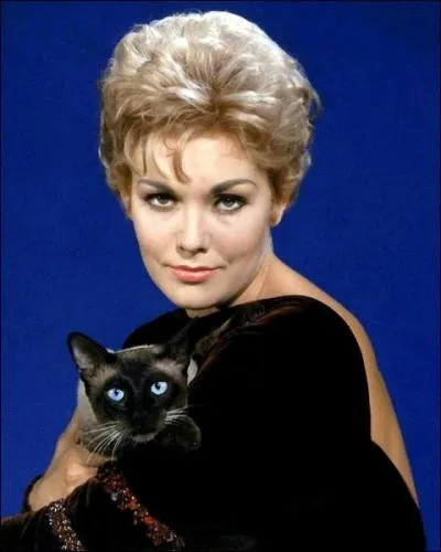 Dans cette envotante comdie, Kim Novak est une jolie sorcire ensorcelant son voisin James Stewart avec l'aide de Baal Moloch son chat, et tombant amoureuse au risque de perdre ses pouvoirs magiques...