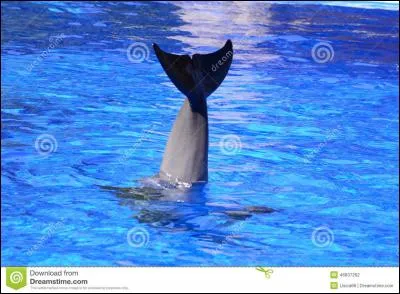 C'est dans la mer que nous allons continuer notre périple !