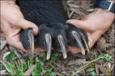 Apposez votre griffe sur cette réponse !