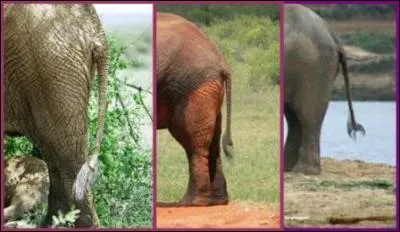 Surtout, ne vous "trompez" pas !