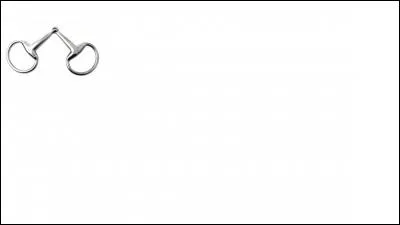 Quel est ceci ? Choisissez la bonne orthographe.