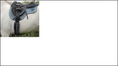 Quelle est la partie de la selle qui sert à l'attacher pour ne pas qu'elle tombe ?