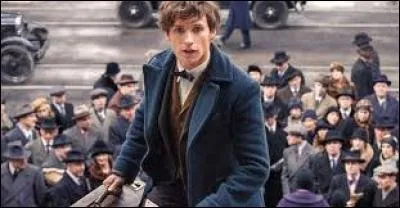 Qui est Newt Scamander ?