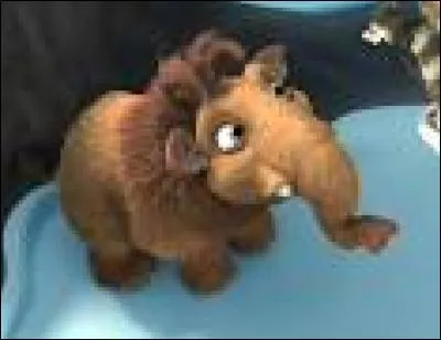 Quel est le nom de ce bébé mammouth trop chou ?