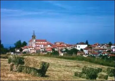 Nous partons à la découverte de Montagny. Commune Ligérienne, elle se trouve en région ...