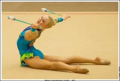 Comment s'appelle cet engin ?