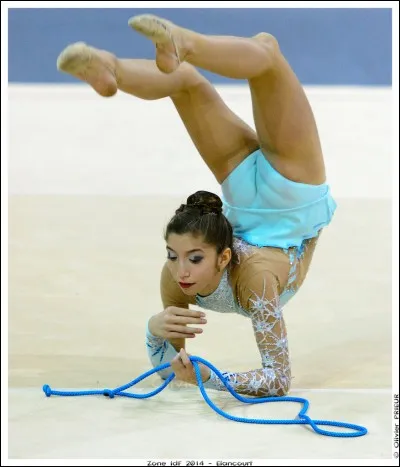 Comment s'appelle cet engin ?