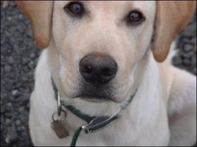 On ne sent pas le cul des filles dans la rue !