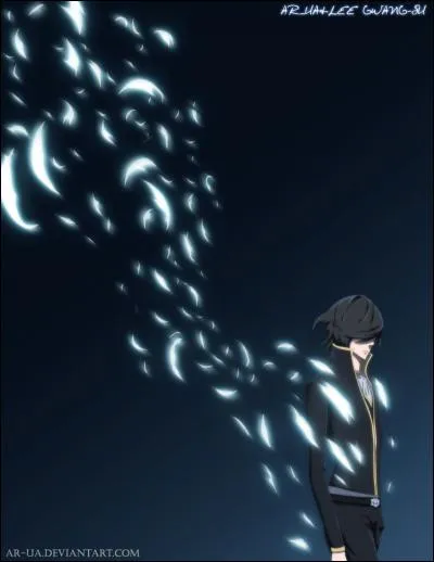 Pendant combien d'années Raizel a-t-il dormi?