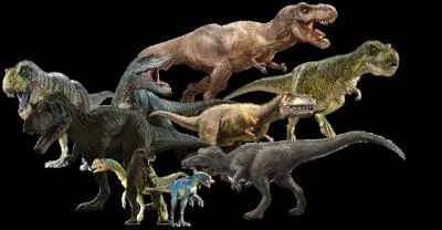 Lequel de ces 4 tyrannosaures a disparu à la toute fin du règne des dinosaures ?