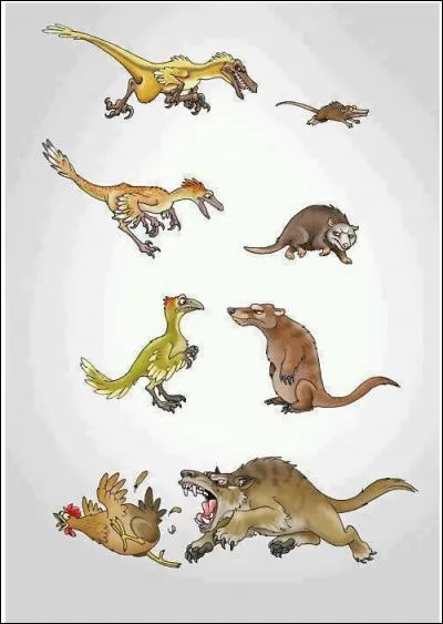 Laquelle de ces familles a disparu en même temps que les dinosaures ?