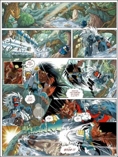 Lors du combat Gryf contre Dark-Gryf, quel est le score de leur petite "rencontre amicale" ?