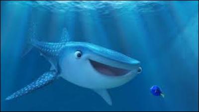 Comment s'appelle le requin-baleine ?