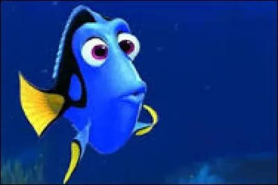 Où va Dory ?
