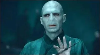 Comment les partisans de Voldemort appellent-ils leur maître ?