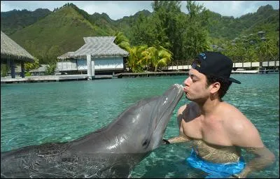 Quel est son animal préféré ?