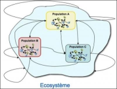 Qu'est-ce qu'un écosystème ?