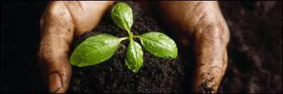 Les engrais apportent :