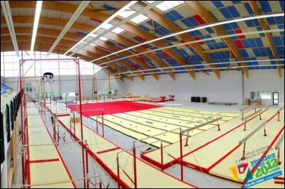 Quand la Fédération Française de Gymnastique a-t-elle été créée ?