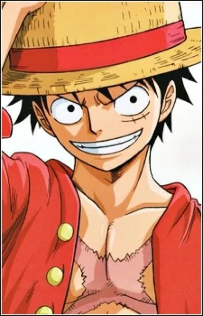 Quelle est la prime de Luffy ?