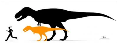 Quels dinosaures attaquaient les hommes ?